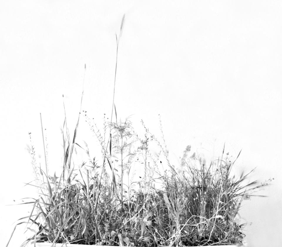 Klaus Fabricius  Artist Künstler Information