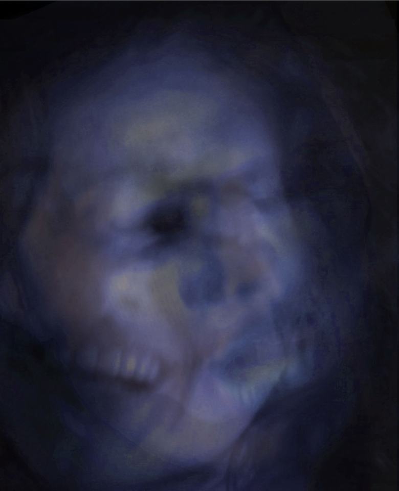 Portrait Studie/2020/Fotografie digital Collage/ Pigment Druck auf Fine Art Papier/60x40cm | Klaus Fabricius  Artist Künstler Information