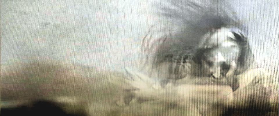 Radikale Verunsicherung II /2025/Fotografie digital Collage/Digitaldruck auf Papier/40x100cm | Klaus Fabricius  Artist Künstler Information