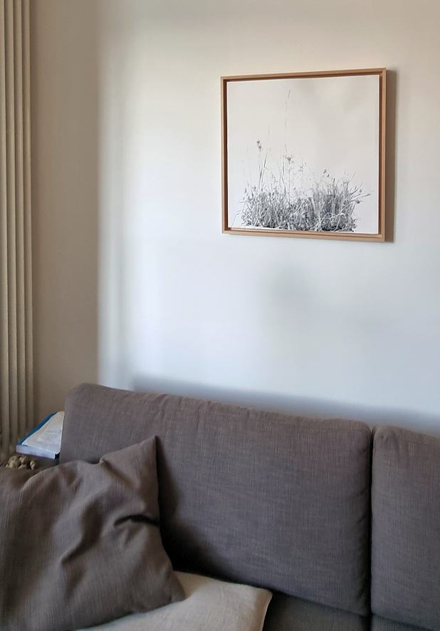 Wiesenstück/2023/Fotografie/ Pigmentdruck auf Fine-Art-Papier/40x40cm/privat Stuttgart | Klaus Fabricius  Artist Künstler Information